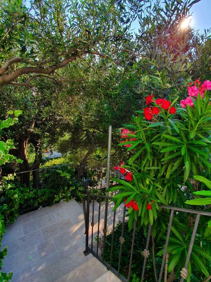 Apartmani Renata Brela Dış mekan fotoğraf